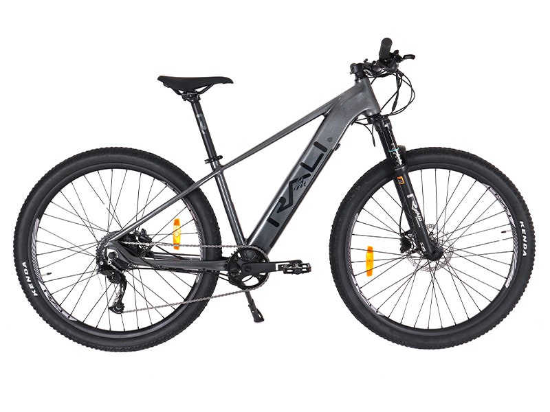 Bicicleta Rali Electrica E-Pros-S 29" Gris