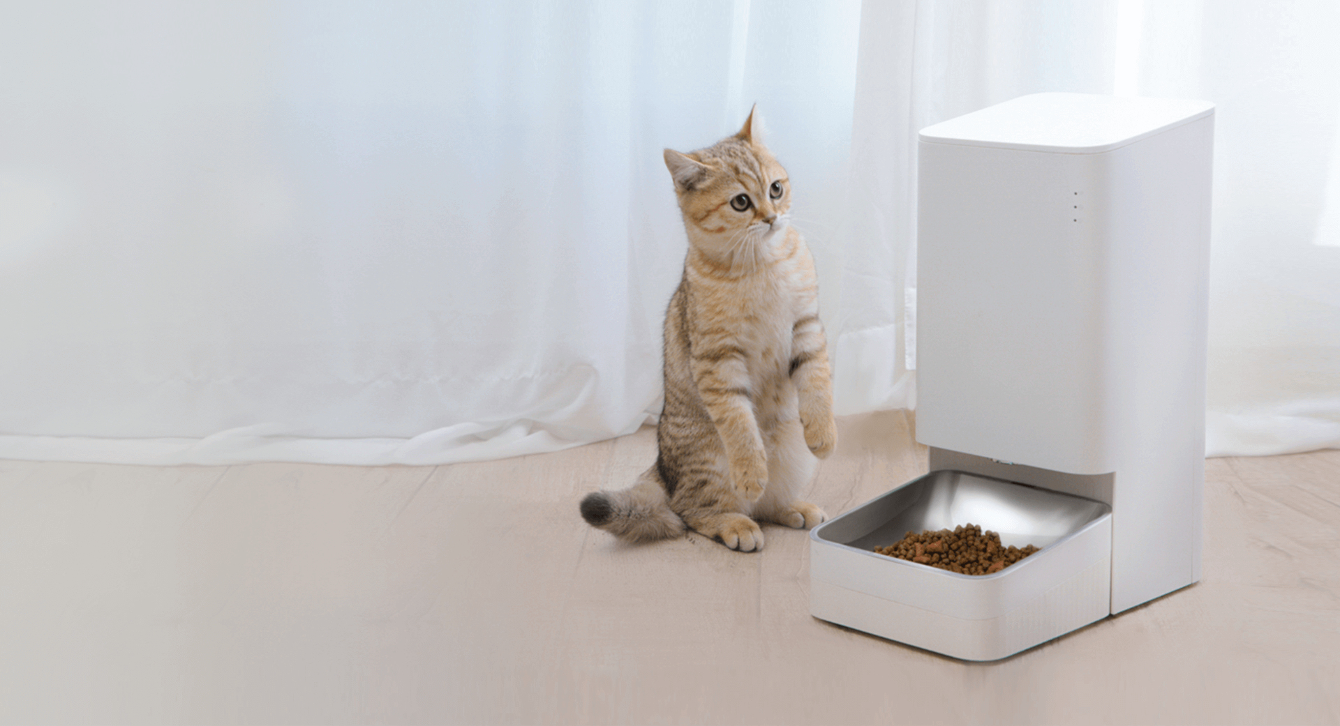 Combo de dispensador de alimentos y agua para mascotas