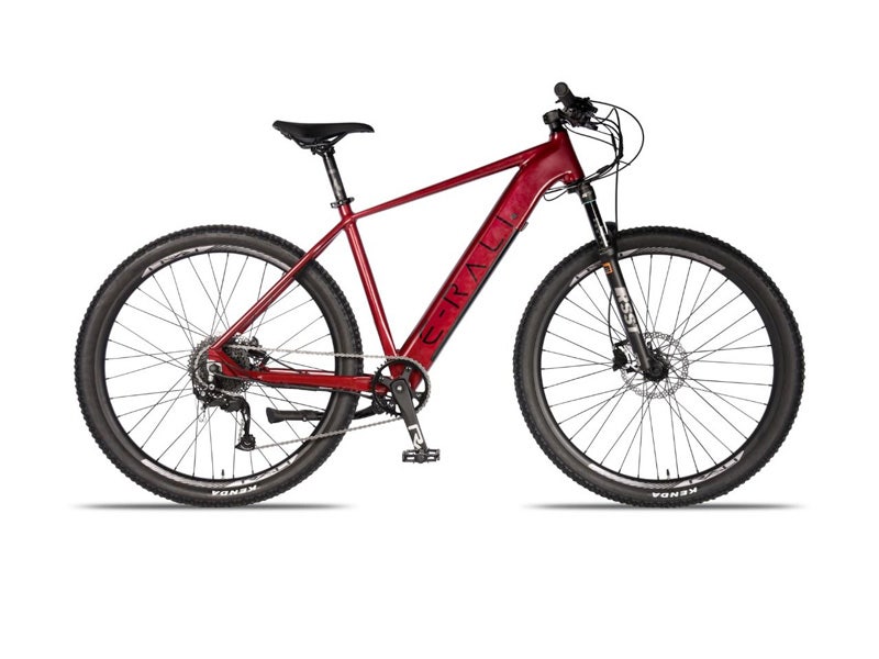 Bicicleta Rali Electrica 29" 1X9 Vel. Rojo